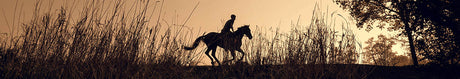 Vêtements chauffants équitation